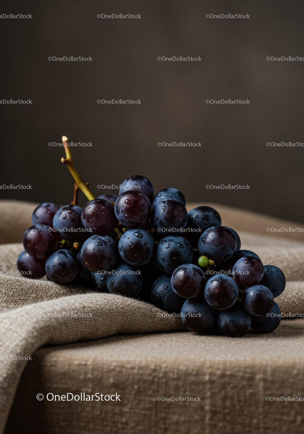 Fresh dark grapes resting on textured fabric surface