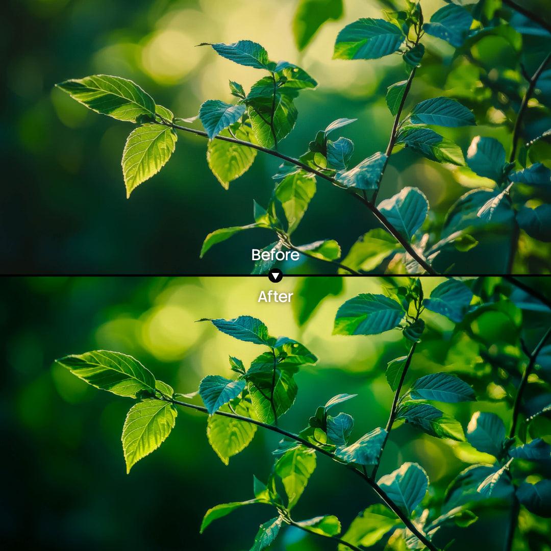 Nature XMP presets preview with warm vibrant green leaf tones