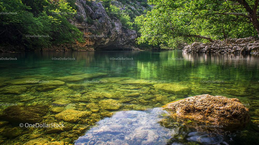 Tranquil Forest Creek with Lush Greenery and Rocky Shore