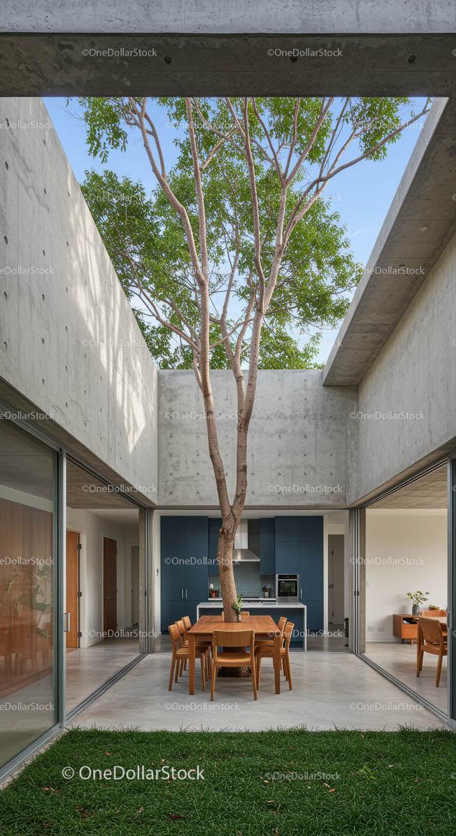 Modern Courtyard Home with Tree and Natural Lighting