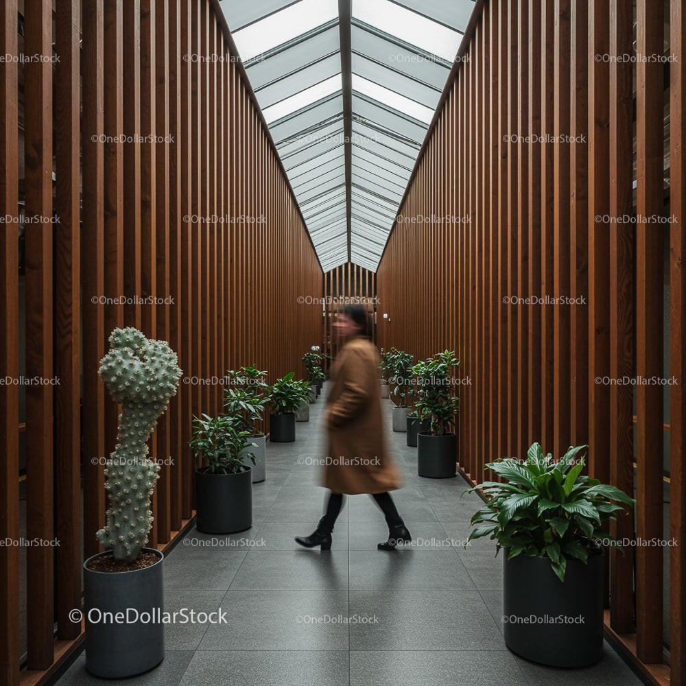 Modern Corridor with Indoor Plants and Wooden Panels