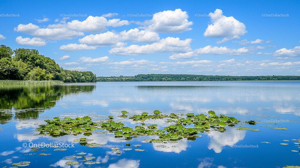 Peaceful Lake Scene with Lily Pads and Fluffy Clouds