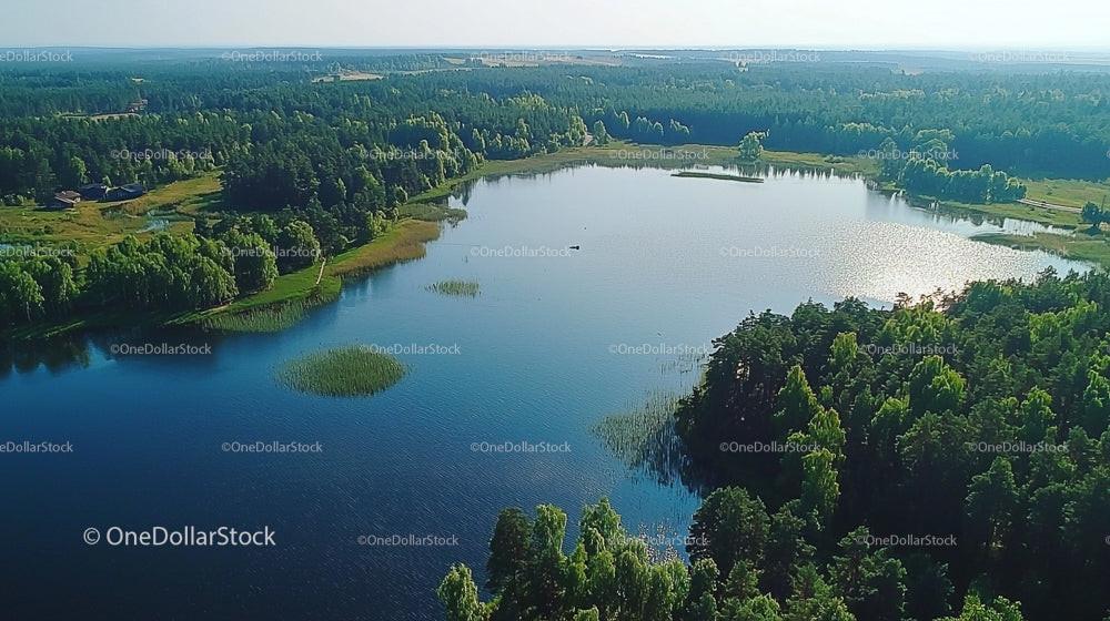Aerial View of Tranquil Lake and Verdant Forest