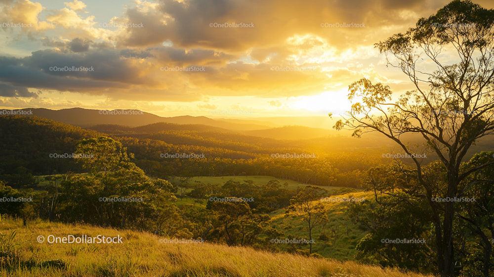 Golden Sunset Over Green Hills and Silhouetted Trees