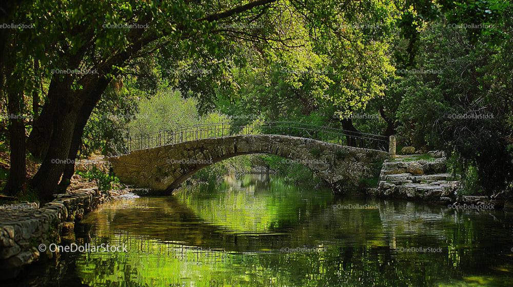 Stone Bridge Over Tranquil Greenery-Lined River Scene