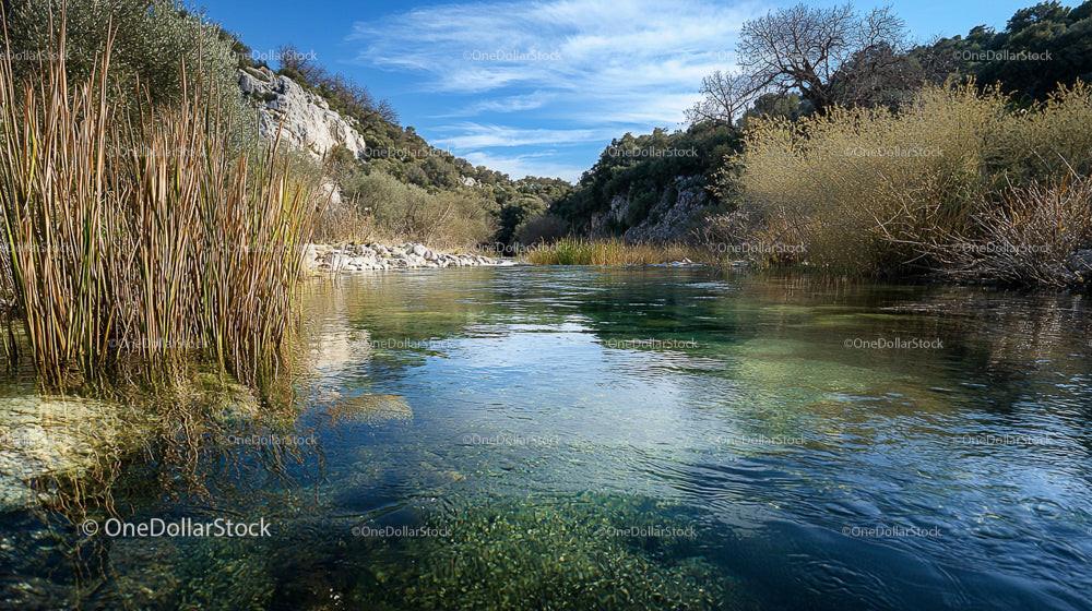 Tranquil River with Lush Vegetation and Reflective Waterscape