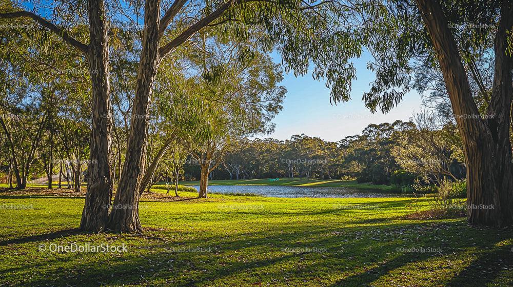 Sunlit Park with Grassy Field and Serene Lake View
