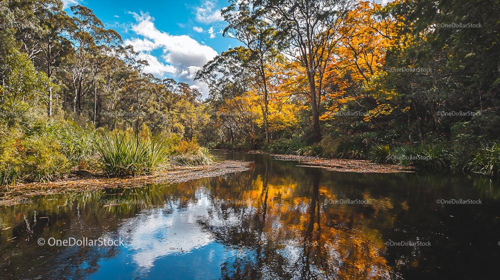 Tranquil Lake with Vibrant Autumn Foliage Reflection