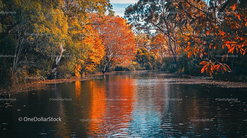 Tranquil River with Vibrant Autumn Foliage and Reflections
