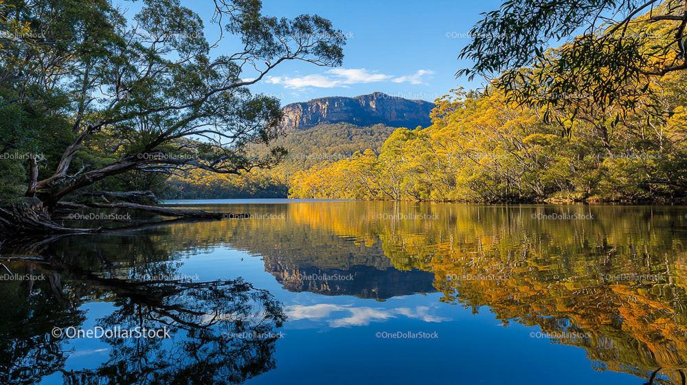 Golden Autumn Trees Reflecting in Serene Mountain Lake