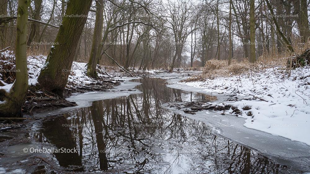 Snowy River and Leafless Trees in Winter Landscape