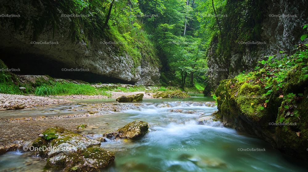 Lush Forest and Tranquil River Through Mossy Gorge