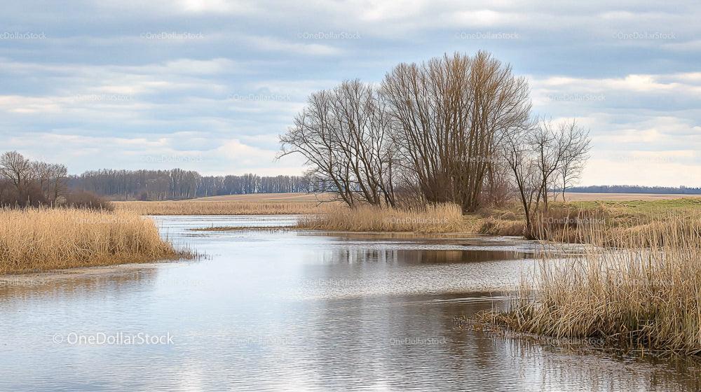 Tranquil River Landscape with Bare Trees and Cloudy Sky