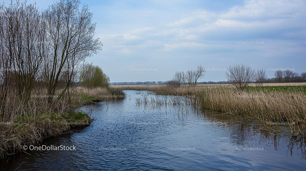 Tranquil River Scene with Bare Trees in Spring