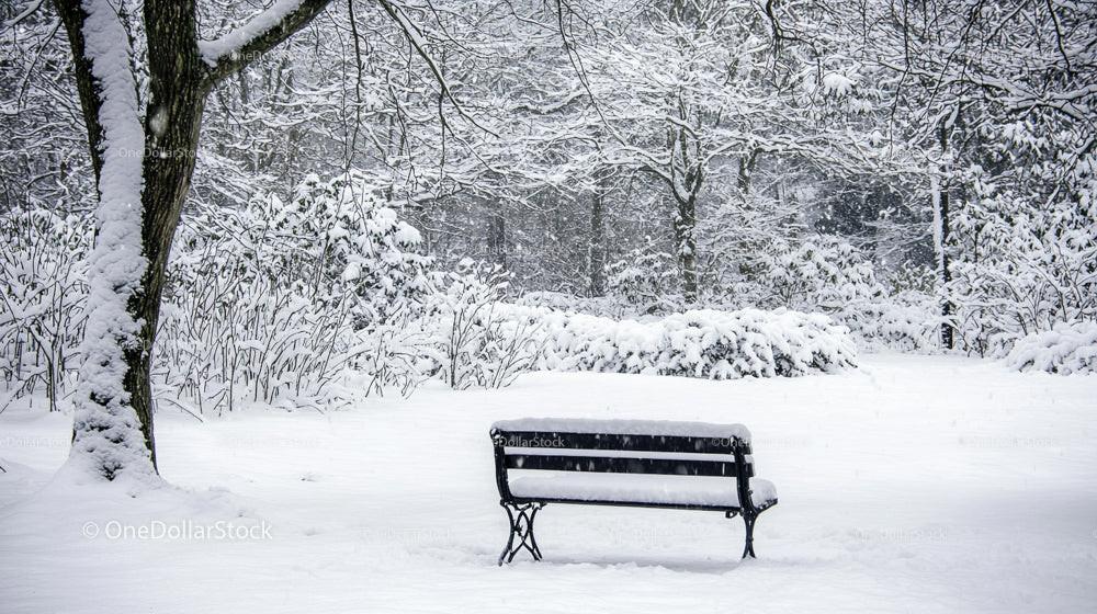 Snow-Covered Bench in a Serene Winter Parkland