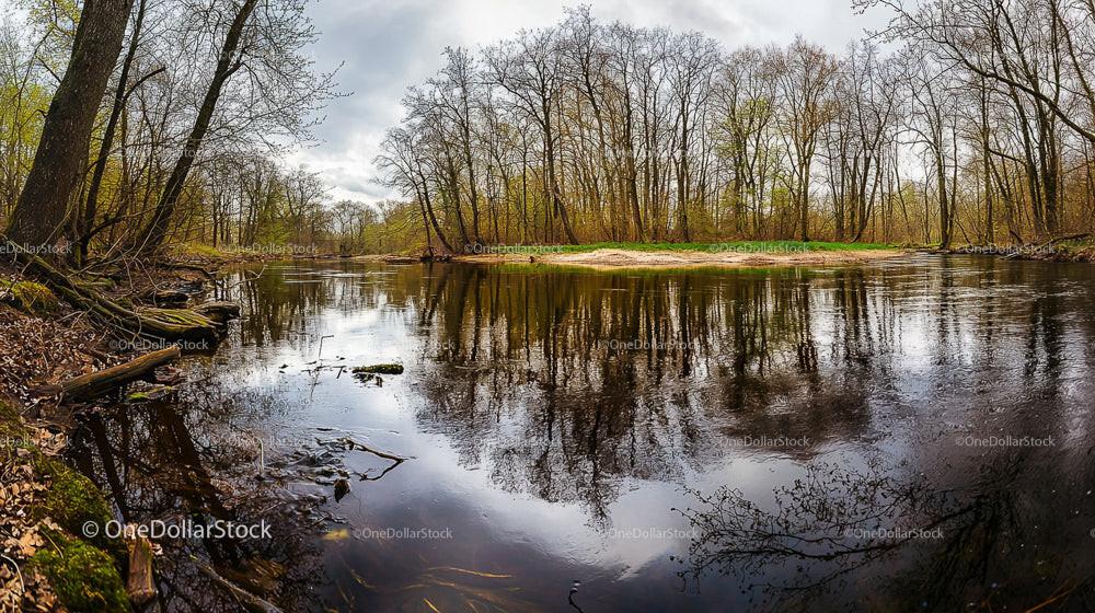 Tranquil River with Bare Trees Reflecting in Calm Water