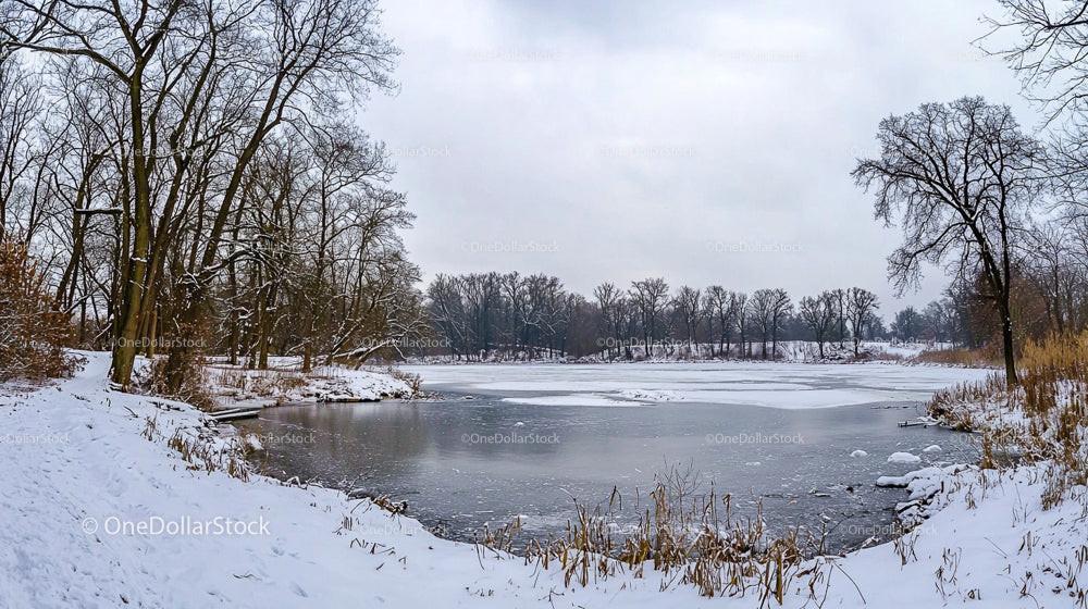 Serene Frozen Lake Surrounded by Snowy Trees