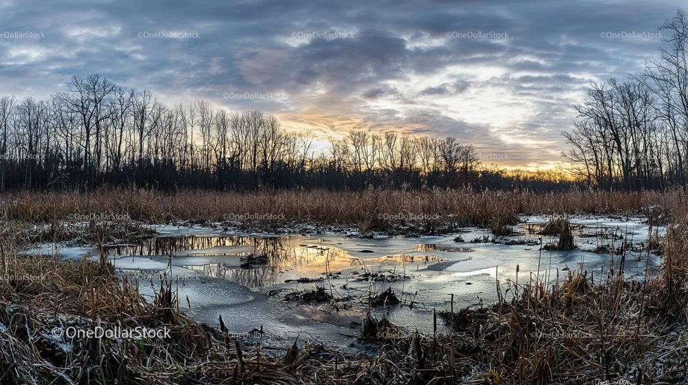Serene Winter Wetland at Sunset with Icy Reflections
