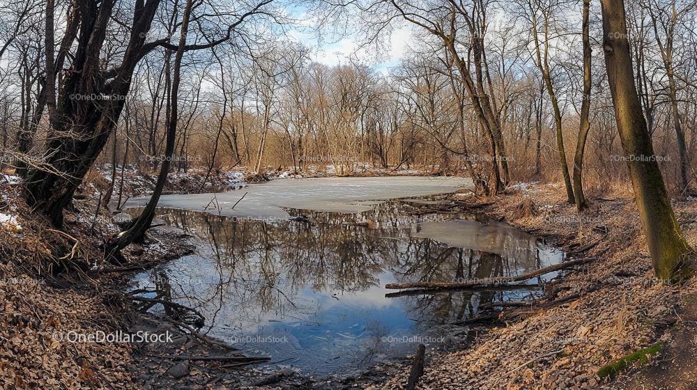 Frozen Pond in a Winter Forest with Reflection