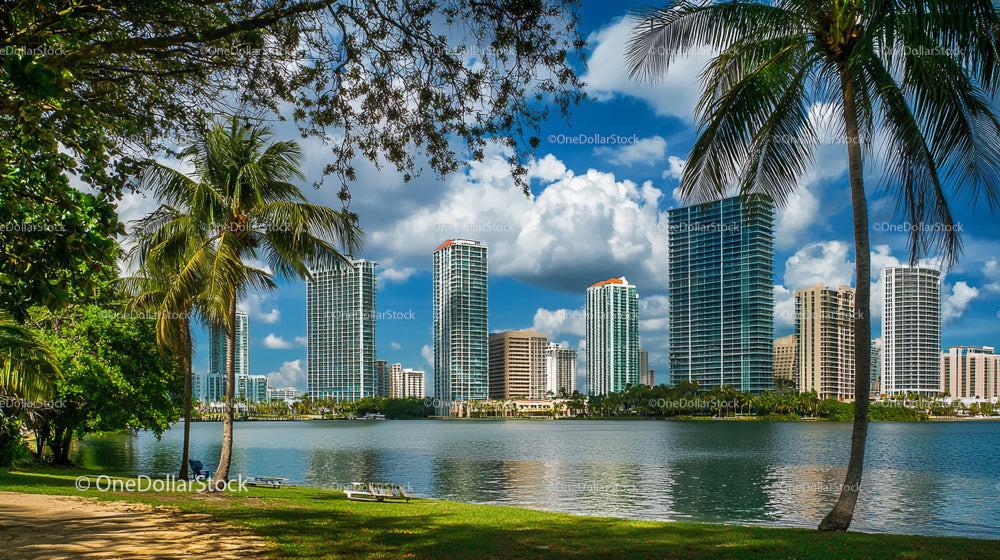 Tropical Cityscape with Skyscrapers and Palm Trees
