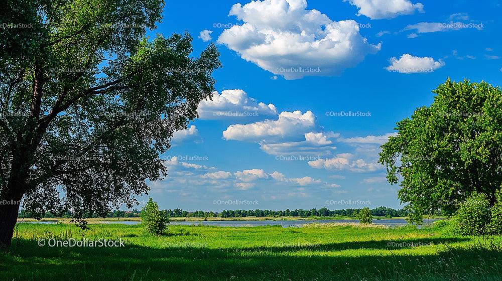 Sunny Summer Landscape with Blue Sky and Lush Greenery
