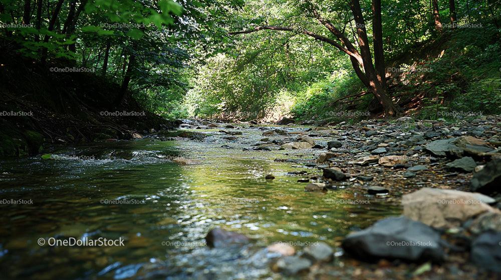 Serene River Flowing Through Lush Green Forest