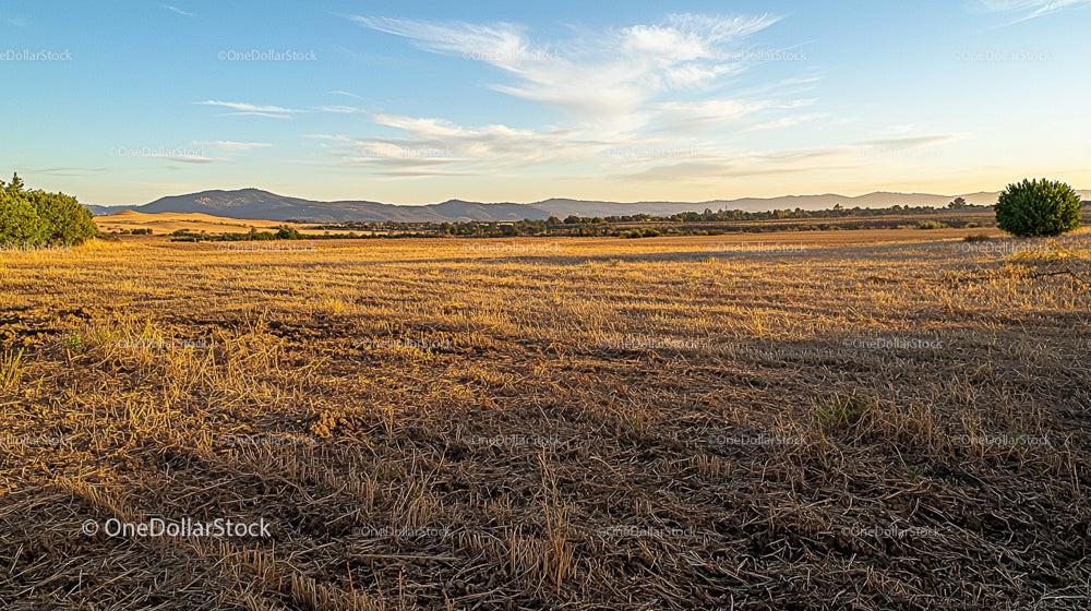 Golden Sunset Over Expansive Rural Field and Distant Mountains