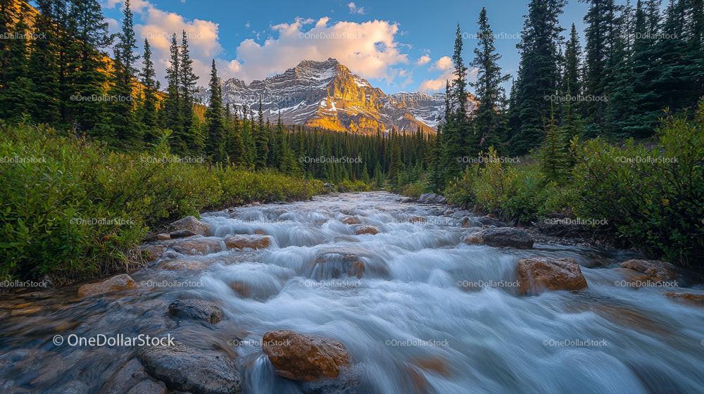 Mountain Stream Flowing Through Lush Forest at Sunrise