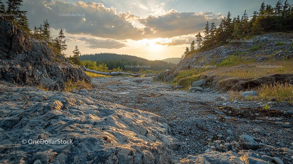 Rocky Landscape with Pine Trees at Sunset