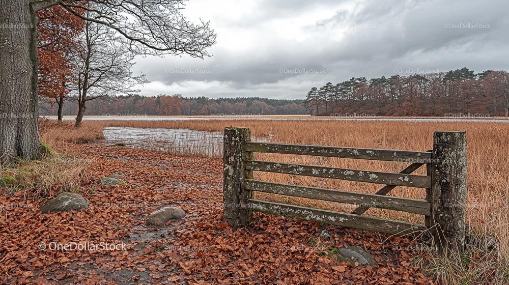 Rustic Gate Overlooking Tranquil Autumn Lake