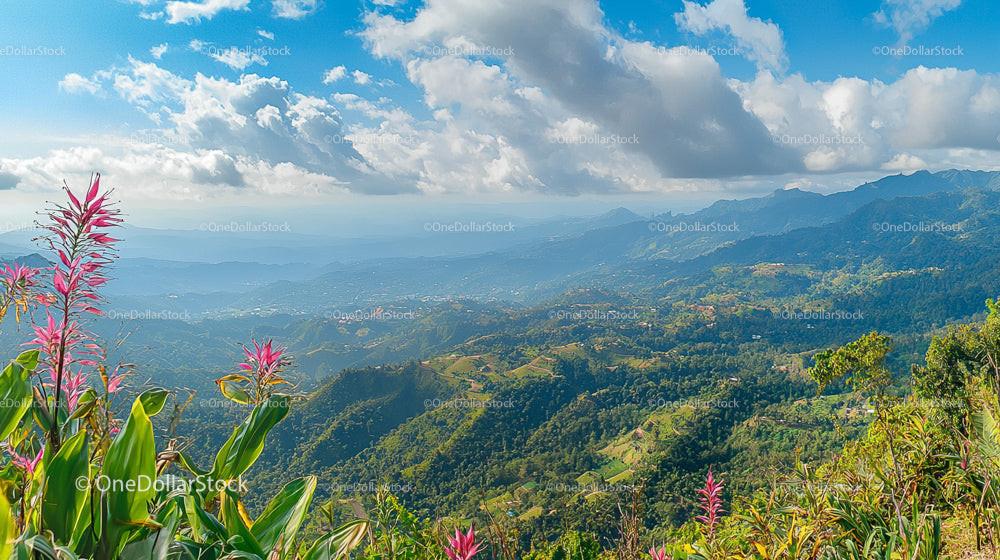 Scenic Mountain Landscape with Lush Greenery and Blue Sky