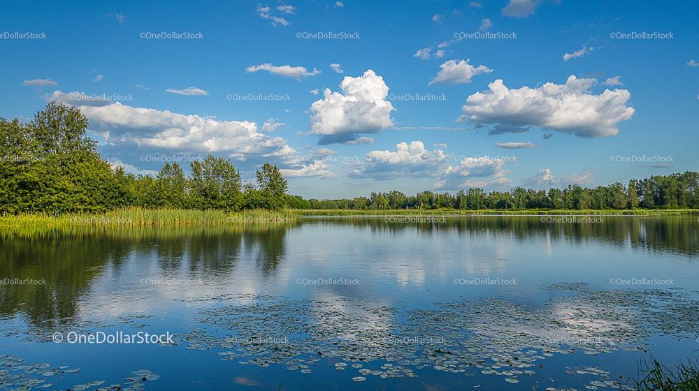 Serene Lake with Fluffy Clouds and Lush Greenery