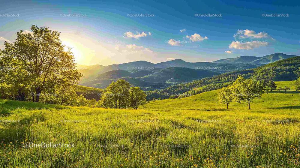 Sunset Over Lush Green Hills and Scenic Meadow
