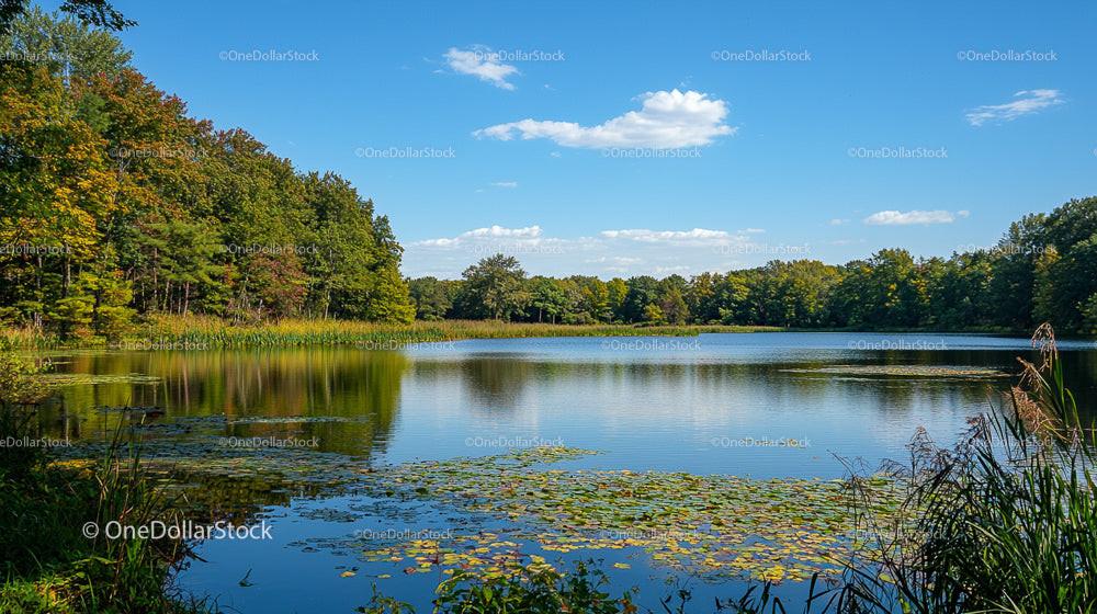 Serene Lake and Lush Forest Under Clear Blue Sky