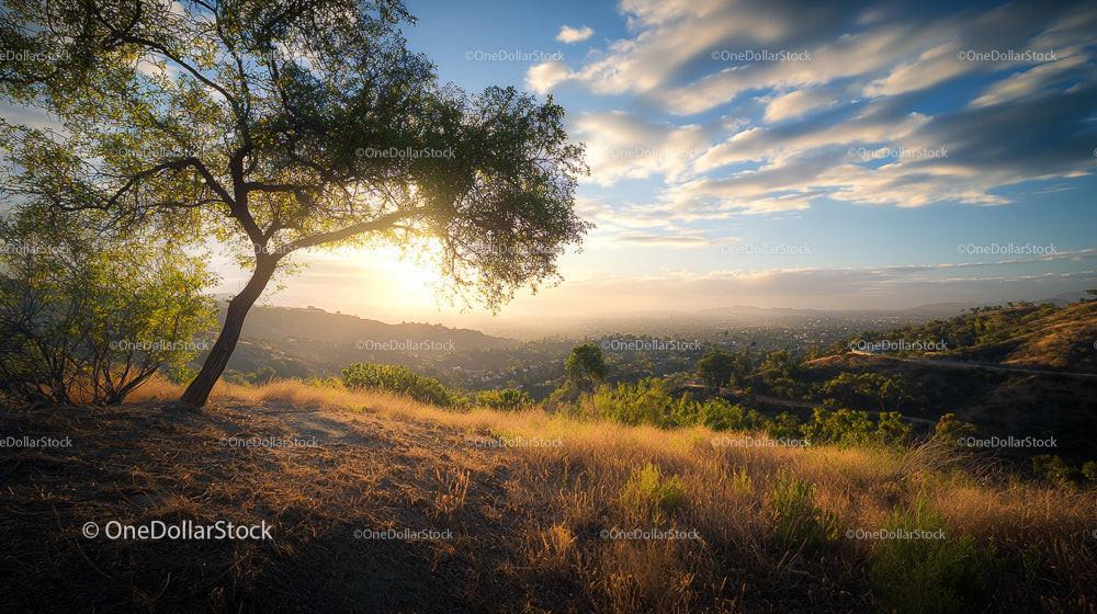 Serene Sunset Landscape with Lone Tree and Rolling Hills