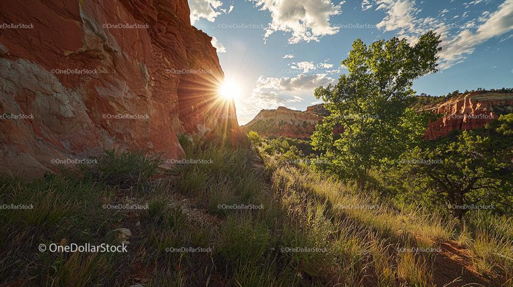 Sunset Over Dramatic Canyon with Lush Greenery