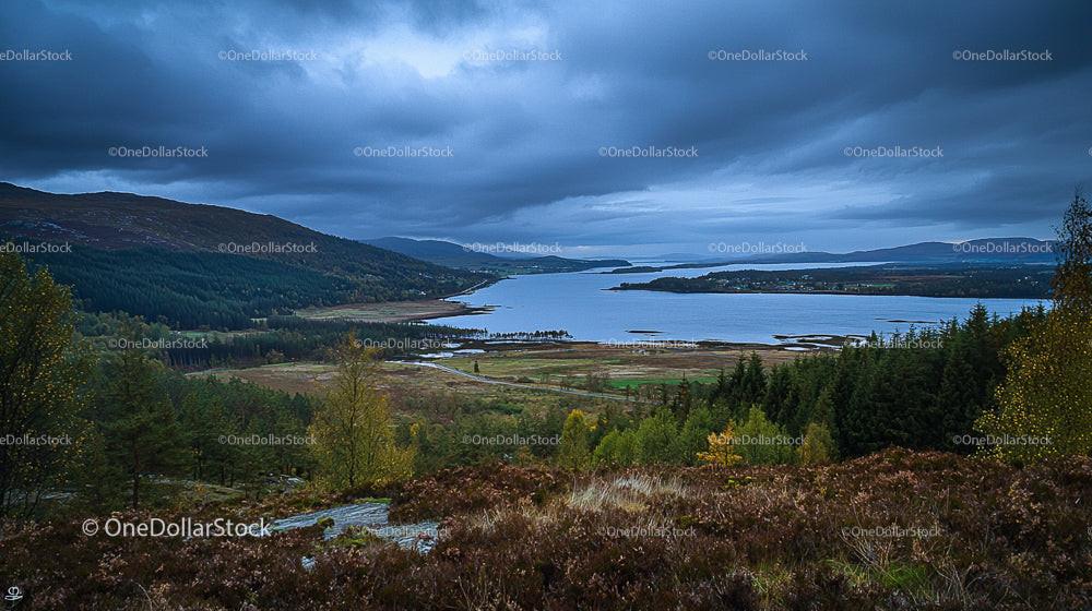 Serene Lake and Forest Landscape Under Overcast Sky