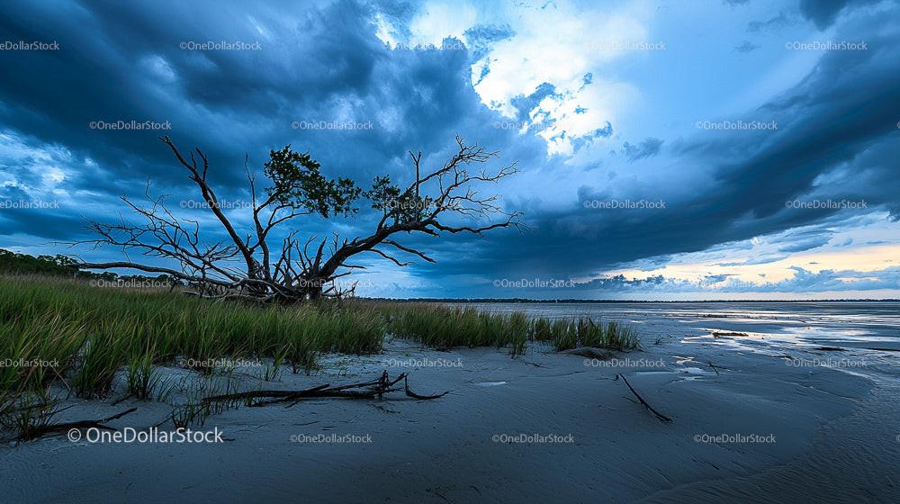 Dramatic Coastal Landscape with Stormy Sky and Lone Tree