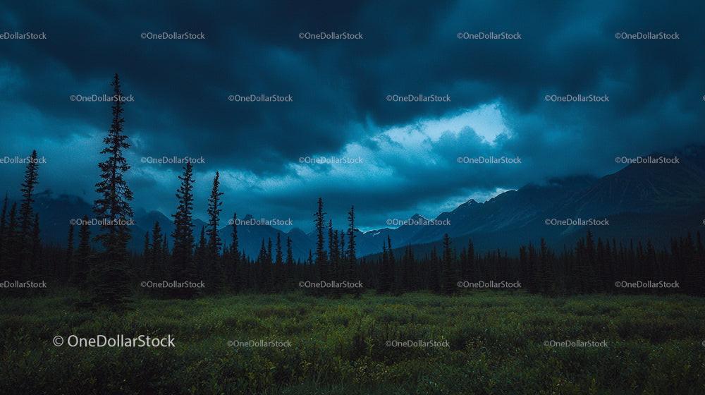 Dramatic Stormy Sky Over Lush Evergreen Forest