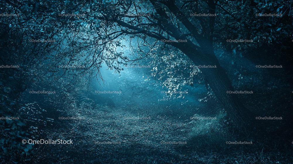 Enchanted Forest Pathway Under Soft Twilight Glow