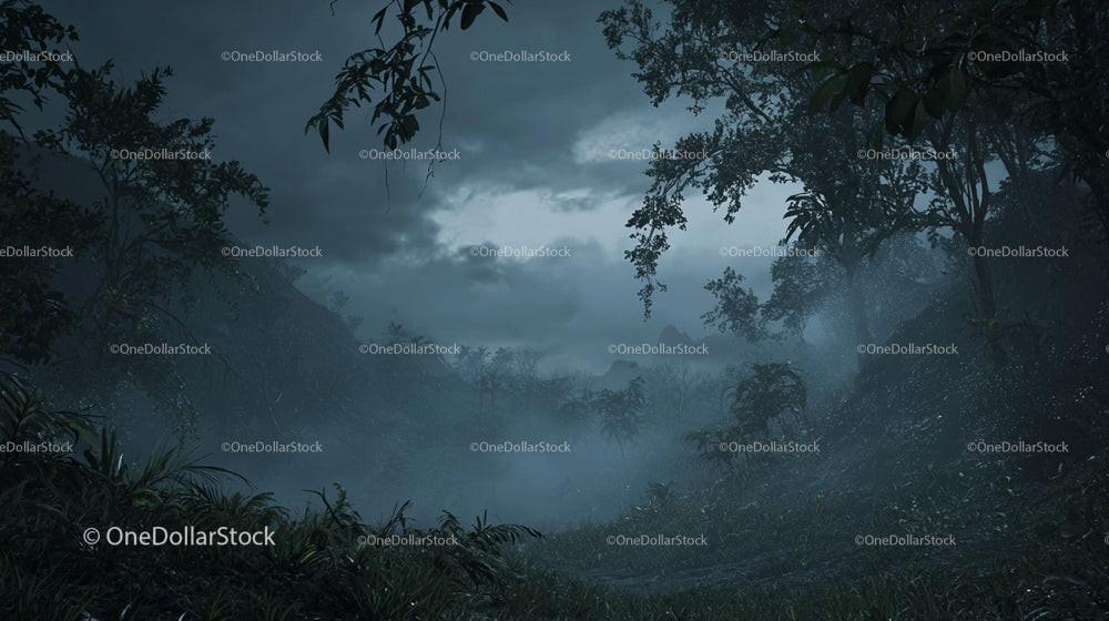 Misty Forest with Dense Foliage and Dramatic Overcast Skies