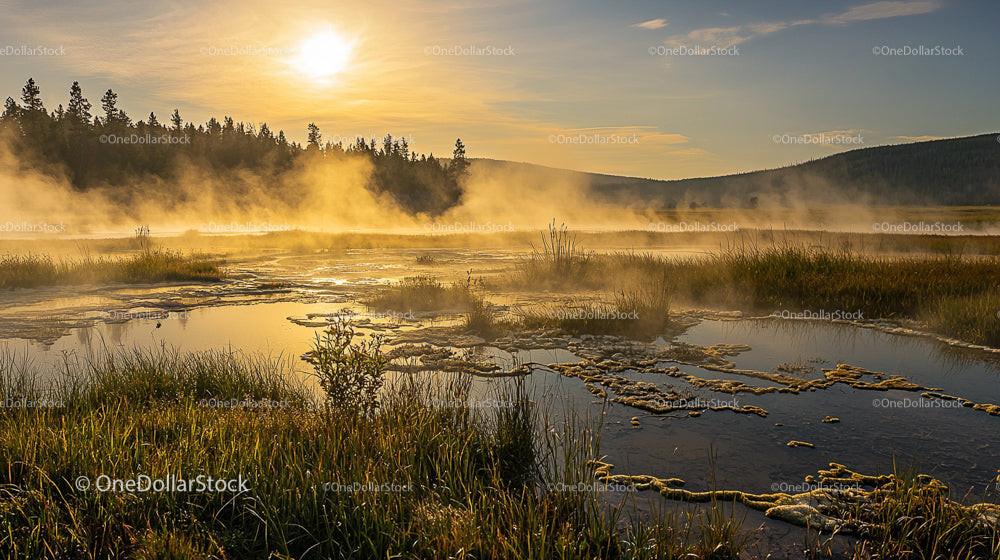 Misty Morning Sunrise Over Tranquil Wetlands