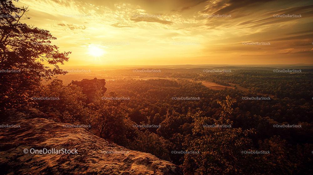 Golden Sunset over Expansive Forest with Dramatic Sky