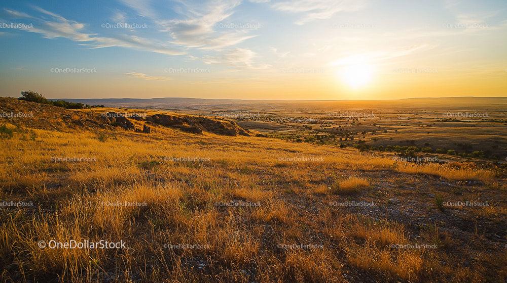 Golden Hour Over Serene Grassland Landscape