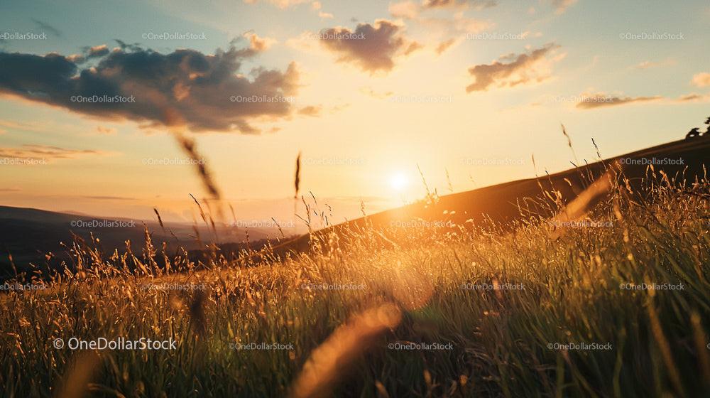 Golden Sunset Over Rolling Hills and Grassy Field