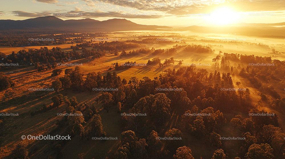 Misty Sunrise Over Forest and Fields in Golden Light