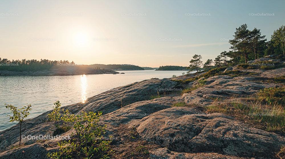 Rocky Shoreline with Pine Trees at Sunset