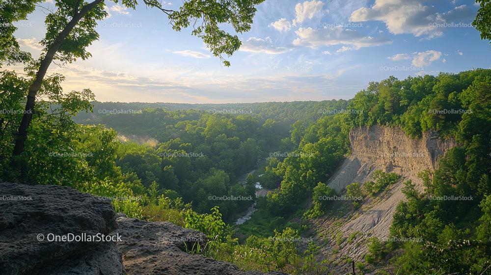 Majestic Forest View with Rocky Cliff and Blue Sky