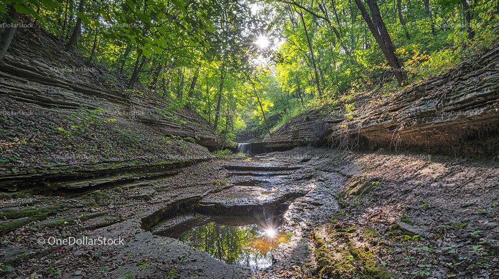Sunlit Forest Canyon with Shimmering Water Reflections