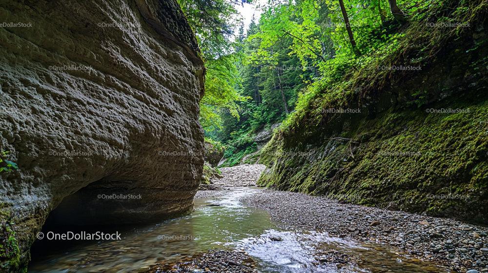 Lush Green Canyon with Serene Stream and Mossy Cliffs